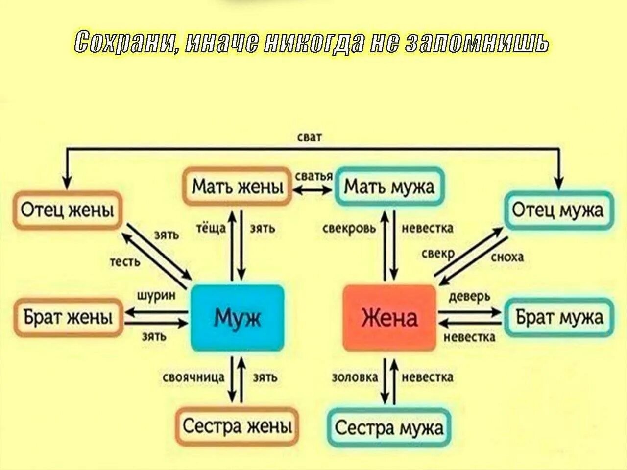 Кто мне дочка племянницы. Сестра жены для мужа. Брат жены для мужа. Жена двоюродного брата жены. Названия родственников.