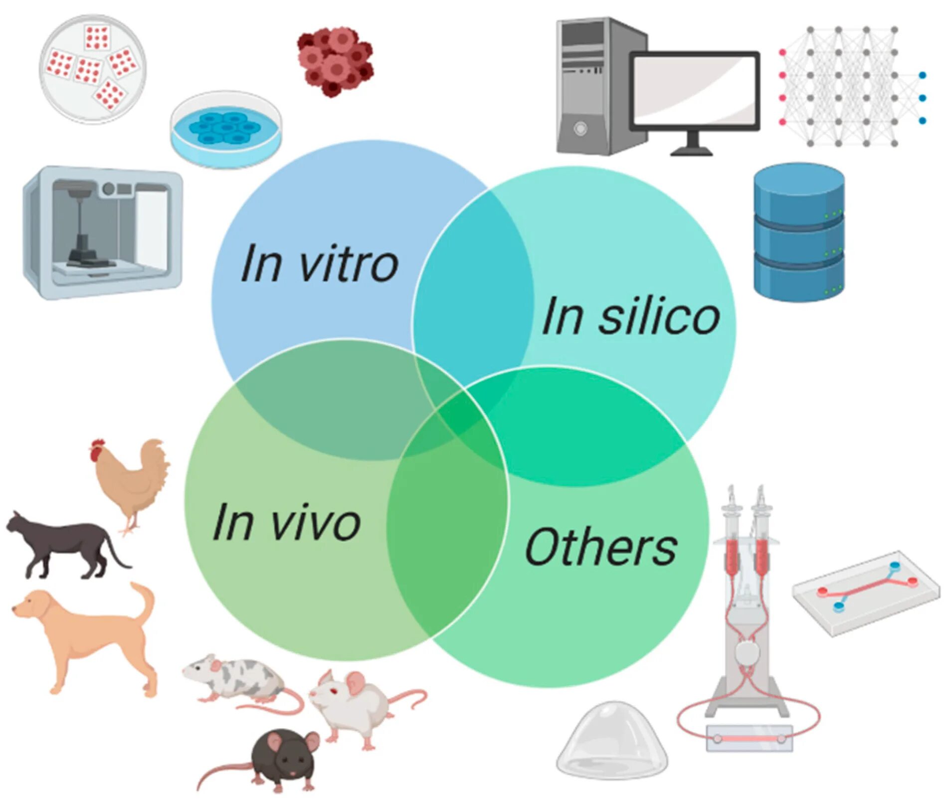 In vivo и in vitro что это такое. In silico in vitro in vivo. Метод in vivo in vitro. Исследования in vivo, in vitro и in silico:. Исследования in vivo