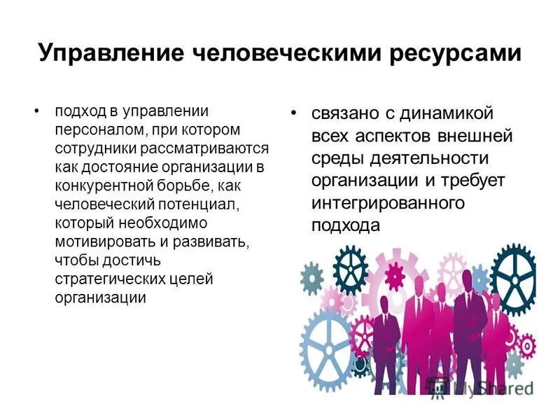 Распределение человеческих ресурсов. Человеческий ресурс иллюстрация. Управление человеческими ресурсами. Человеческие ресурсы. Менеджмент картинки для презентации.