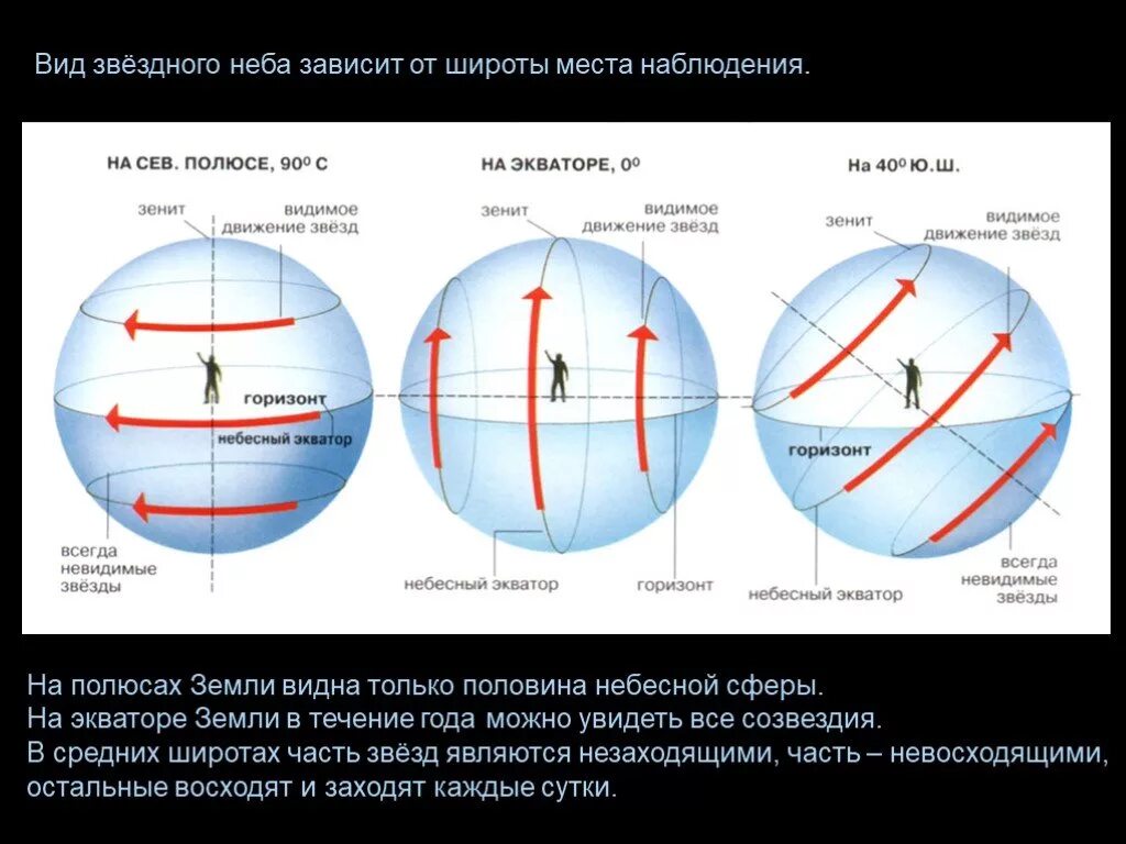 Вид небесной сферы на экваторе. Движение звезд на средних широтах. Широта места наблюдения. Движение звезд на экваторе.