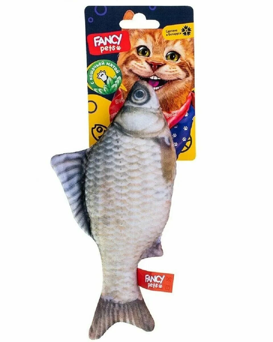 Pets fish