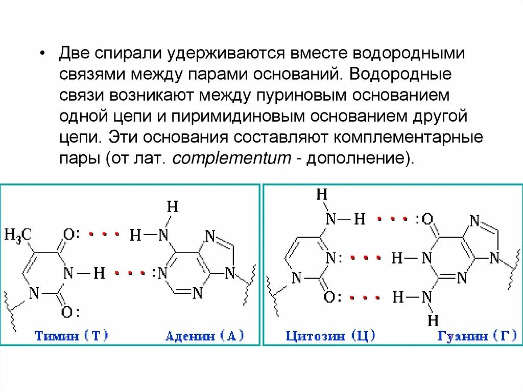 Комплементарные азотистые основания. Азотистые основания ДНК И РНК комплементарность. Комплементарность азотистых оснований в РНК. Комплементарные пары азотистых оснований ДНК.