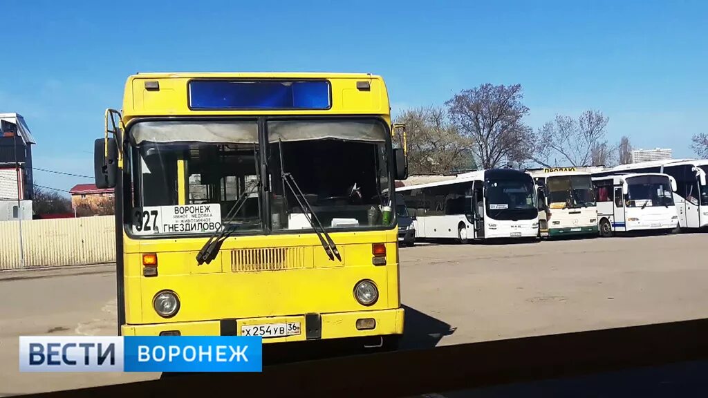 Автобус Рамонь Воронеж. Автобусы автовокзал Рамонь. Автобус Воронеж. Волжанец автобус.