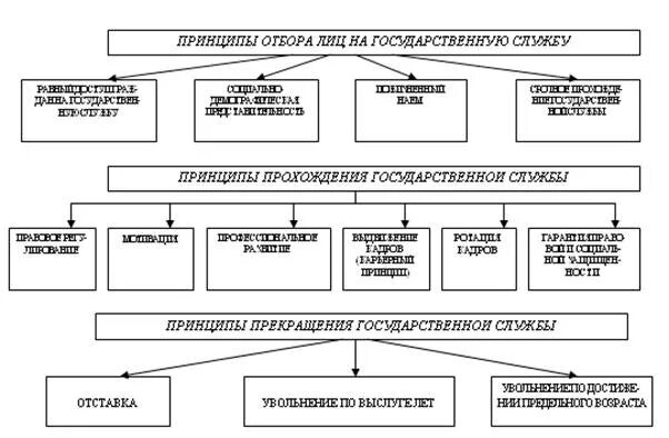 Схему этапов прохождения государственной гражданской службы. Алгоритм прохождения государственной службы. Принципы государственной службы схема. Этапы прохождения государственной и муниципальной службы.. Этапы прохождения государственной службы