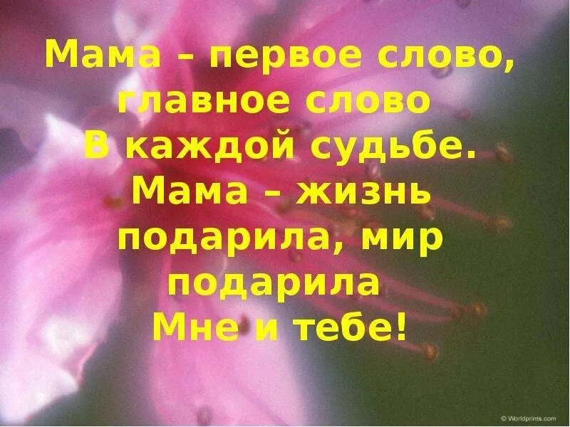Мамочку милую жизнь подарившую. Самое красивое слово в мире мама. поблагодарить маму за жизнь. спасибо мамочка за подаренную жизнь. благодарность маме за подарок.