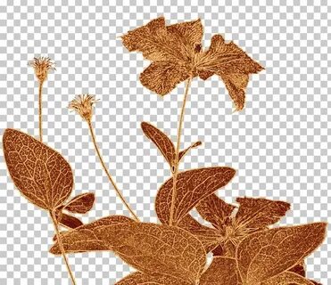 Other leaf
