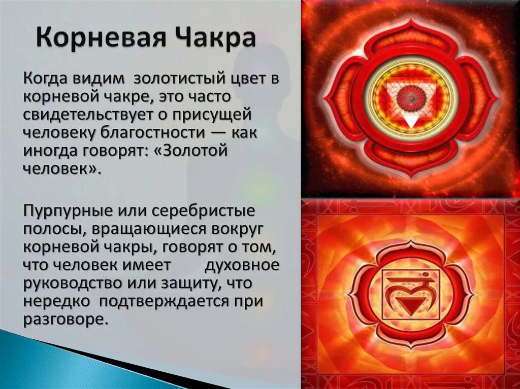 Чакра муладхара раскрытие. Корневая чакра. корневая чакра чакра. корневая чакра муладхара. муладхара чакра цветок.