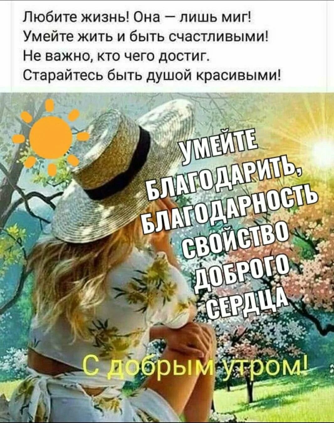 Прекрасна жизнь прекрасно утро. Любите жизнь она лишь миг умейте жить и быть счастливыми. позитивные высказывания про лето. любите жизнь она прекрасна. доброе утро жизнь.