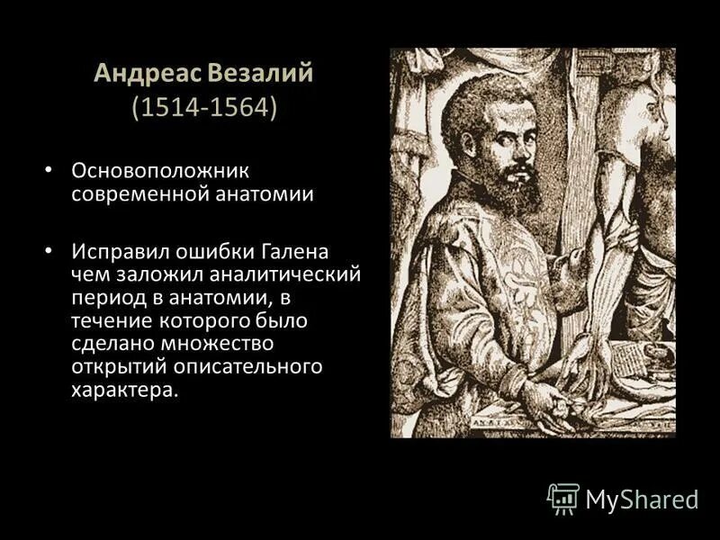 основоположник анатомии везалий. андреас везалий (1514-1564). основоположник анатомии. основоположник современной анатомии. везалий (1514-1564)детство.