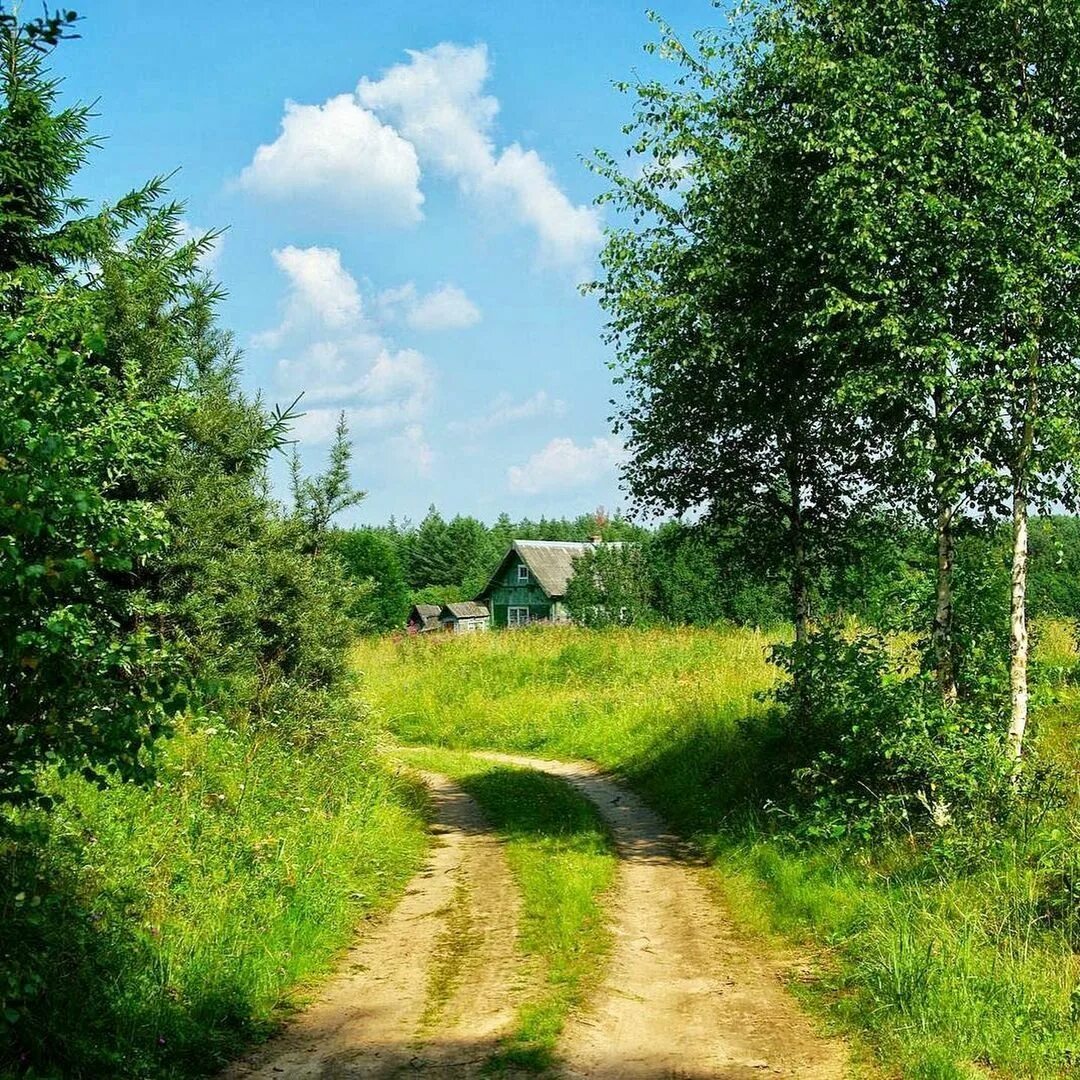 Вдали от дороги. Деревенские тропинки Марий Эл. Лето в деревне. Природа деревня. Дорога в деревне.