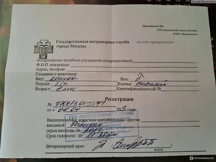 Рабикс инструкция вакцина от бешенства