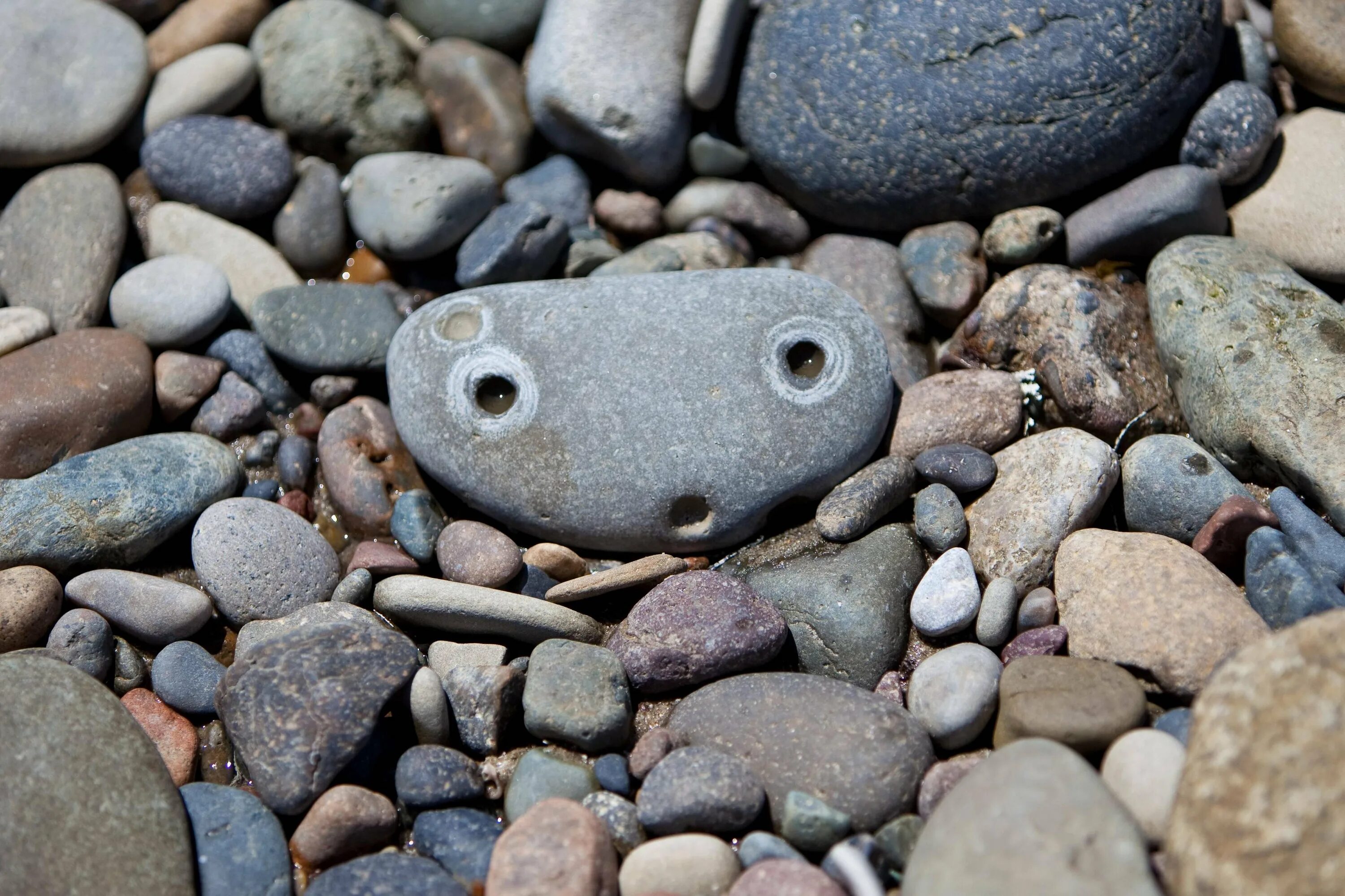 Необычные вещи. Смешные поделки из камней. Забавные камни. Страшные камни. Креативный камень.