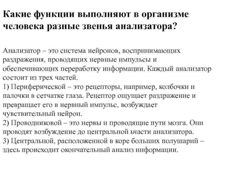 Какие функции выполняют анализаторы в организме человека