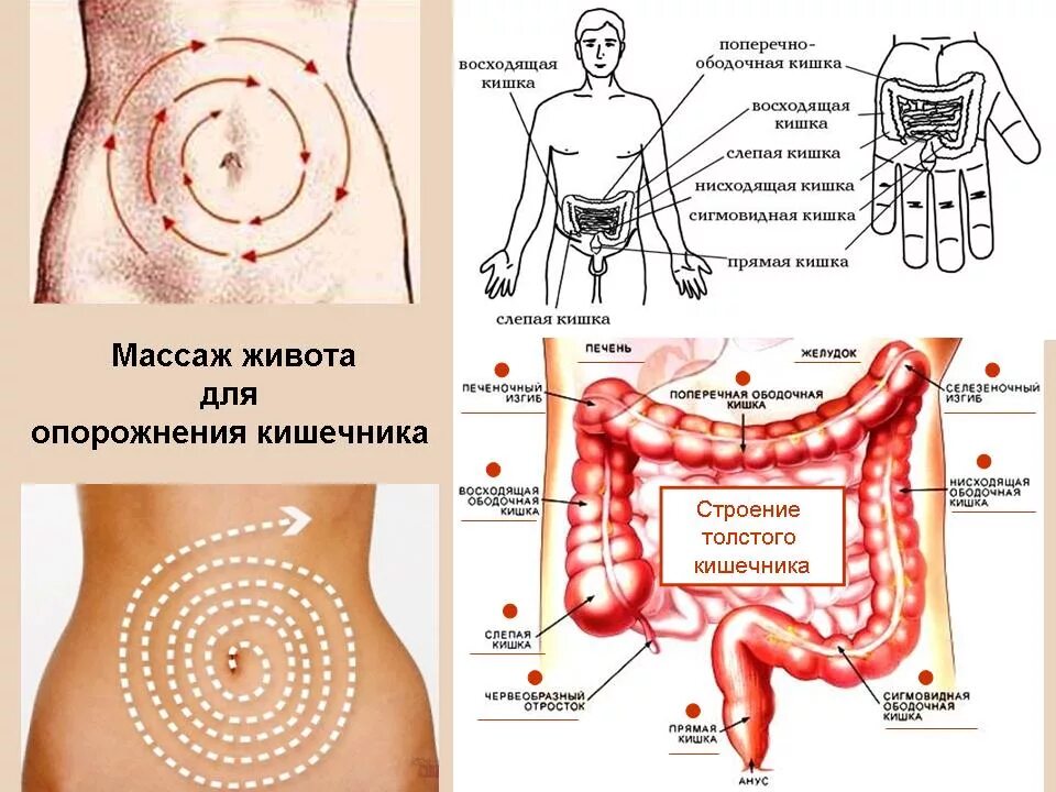 Колет внутри. Массаж живота при запоре. Массаждивота призапорах. Массаж кишечника при запорах. Массаж живота от запора.