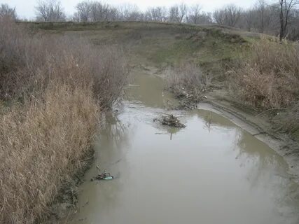 Калаус