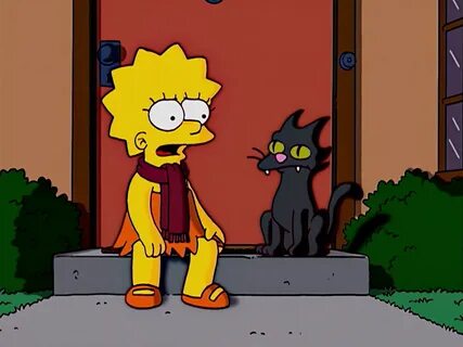 Кот гомер