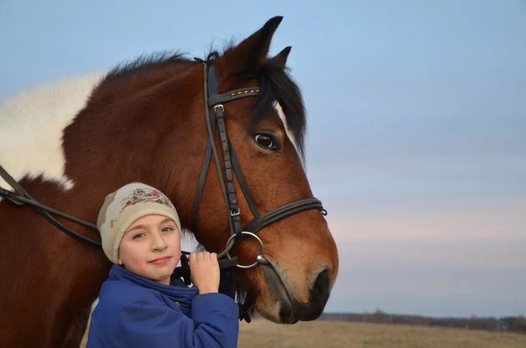Лошадь для детей. Конное занятие дети. Занятия конным спортом. Занятие лошадь для детей.