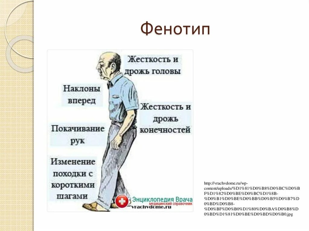 Симптомы паркинсона. Болезнь паркинсона симптомы. Паркинсон краснодар. Степени заболевания паркинсона. Паркинсон краснодар.