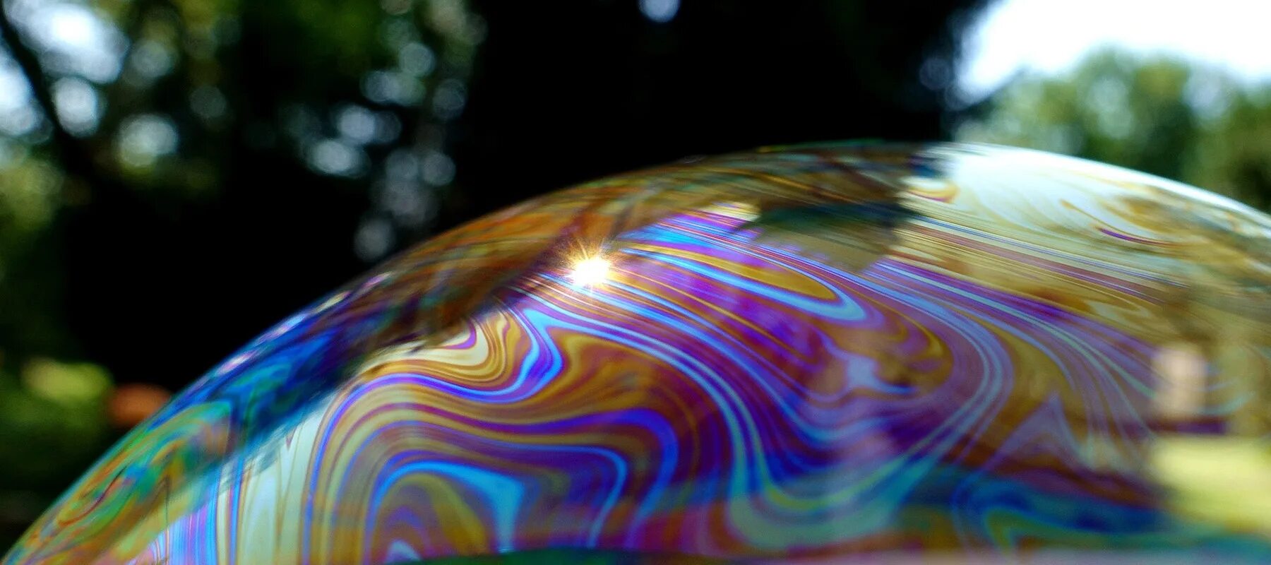 Поток машин. Розовые цветы. Красивые женские влагалища. Цветы рентген. Движение крупным планом.