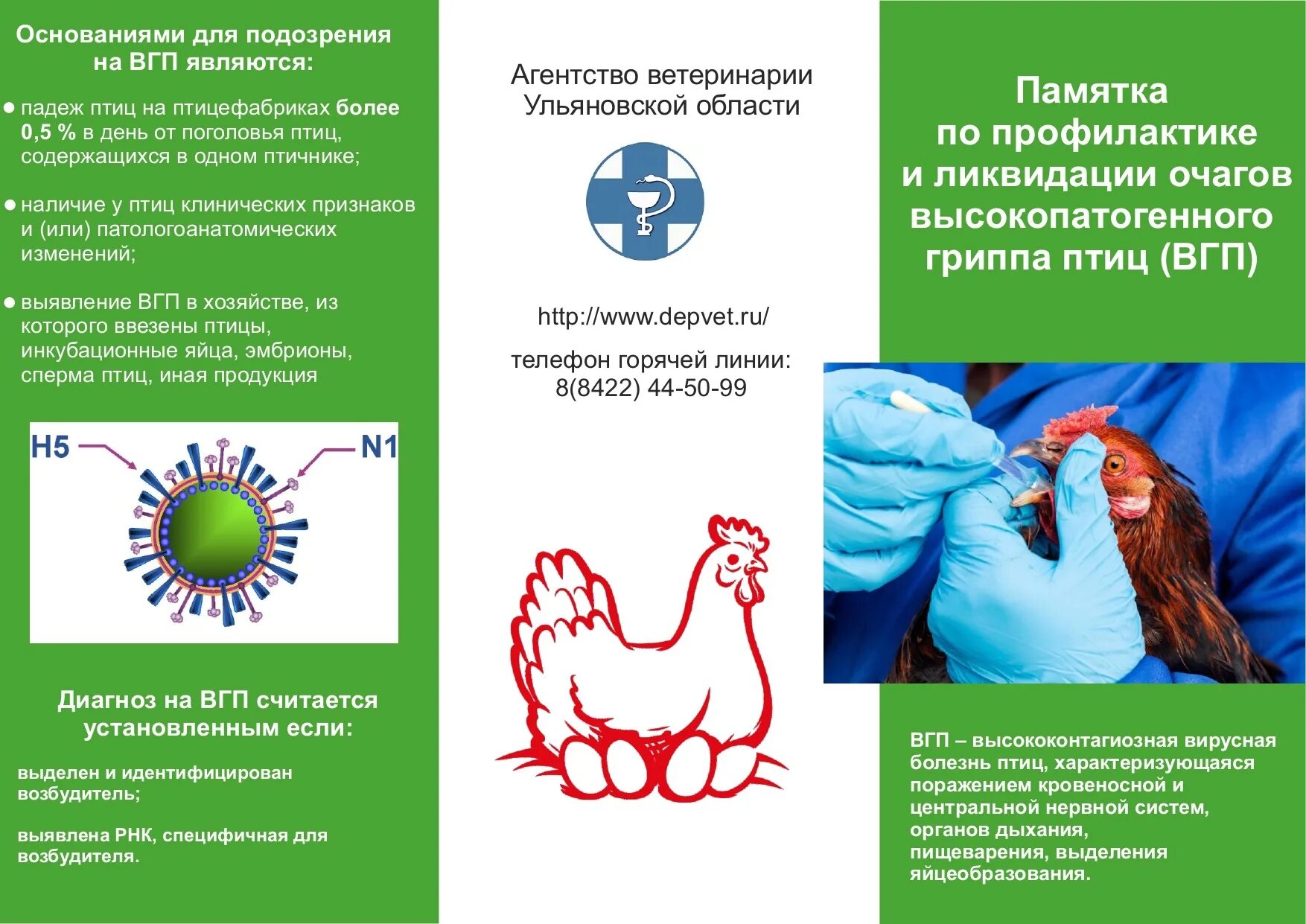 Высокопатогенный грипп птиц профилактика. Профилактика птичьего гриппа. Высокопатогенный птичий грипп.