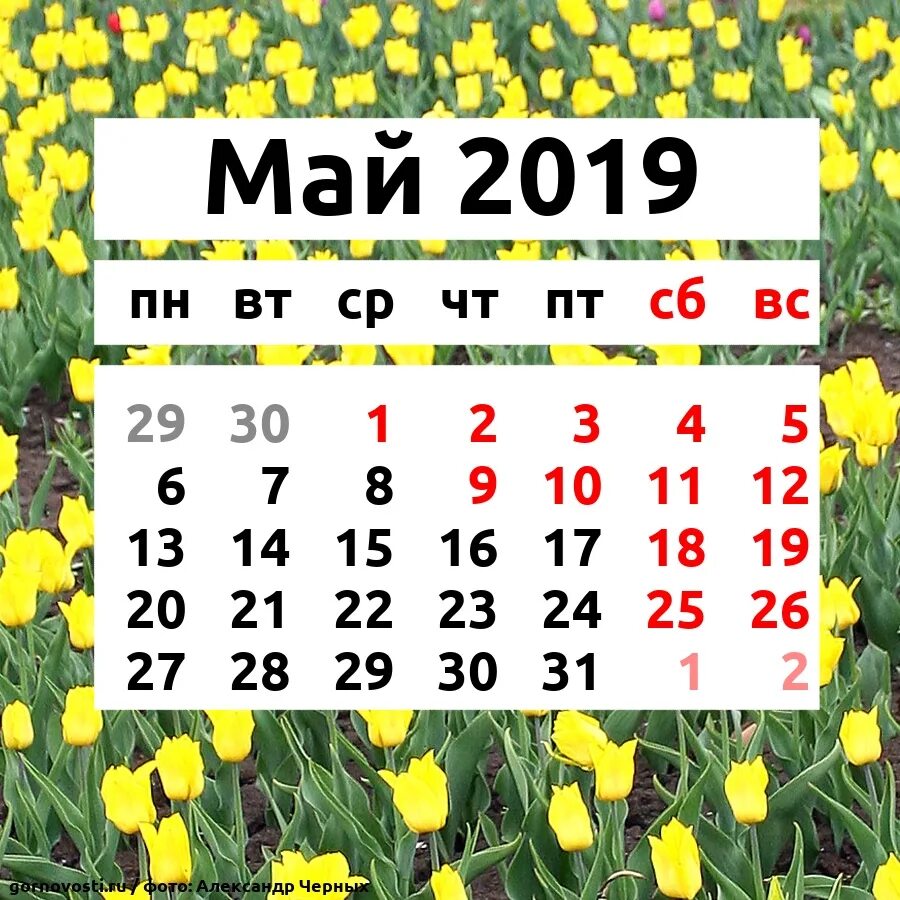 Изменения май 2019. Календарь май. Май 2019 года календарь. Каленларь Майский праздников. Календарь на май месяц.