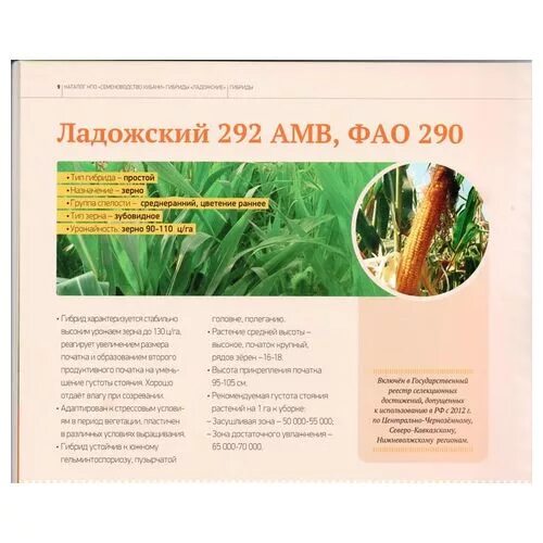 Семена ладожские. Логотип ладожские. Семена лук батун многолетний. Ладожские гибриды кукурузы. Семена ладожские.