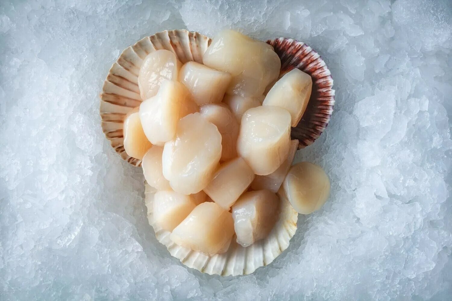Гребешок крупный. Морские гребешки съедобные. Гребешки Frozen Seafood. Китайская уличная еда морской гребешок.