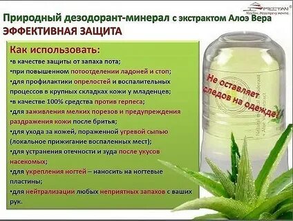 Алоэ гринвей