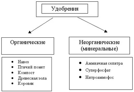 Виды удобрений в сельском хозяйстве