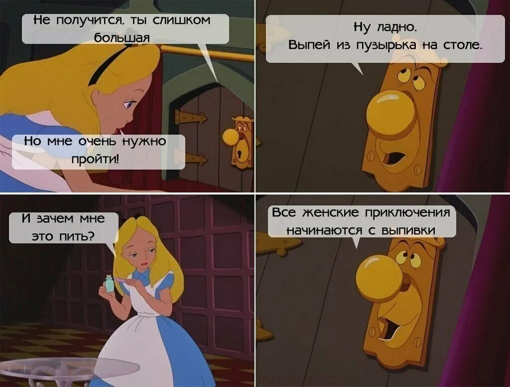 Алиса в стране чудес приколы. Алиса в стране чудес мемы приколы. Шутки про Алису в стране чудес. Алиса в стране чудес мемы