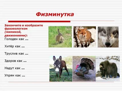 Фразеологизм слову волк