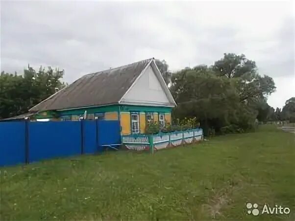 Погода долботово брянская обл. Дом милосердия погар долботово. Озеро бечино брянская область. Деревня долботово брянская область. Снопоть брянская область.