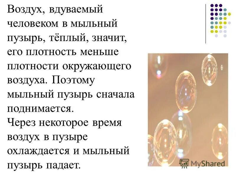 значение тепла в жизни растений. текст песни профессия учителя. солнце источник тепла и света. грейте друг друга любовью. солнце источник жизни на земле.