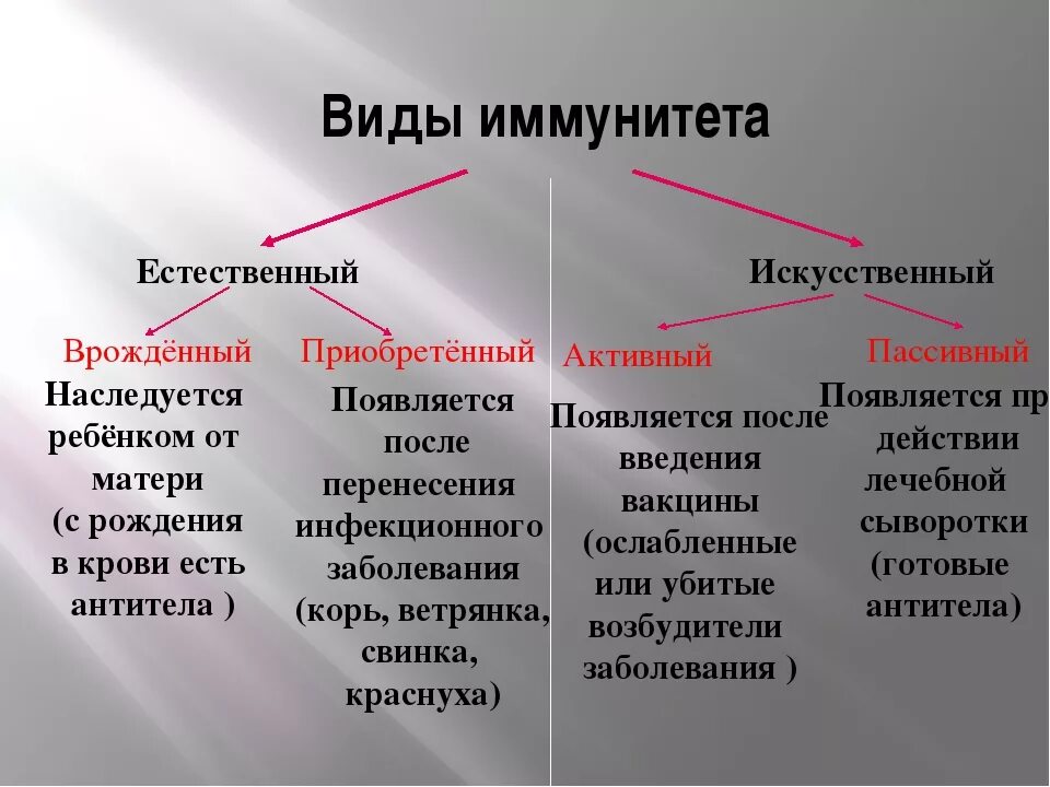 Активный естественно приобретенный иммунитет. Классификация искусственного иммунитета. Виды иммунитета врожденный и приобретенный. Иммунитет виды иммунитета.