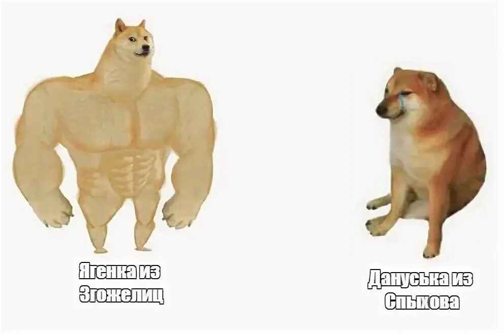 Доге и чимс: лучшие мемы
