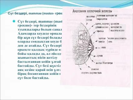 Плагиндерсіз гей порно бейнелері
