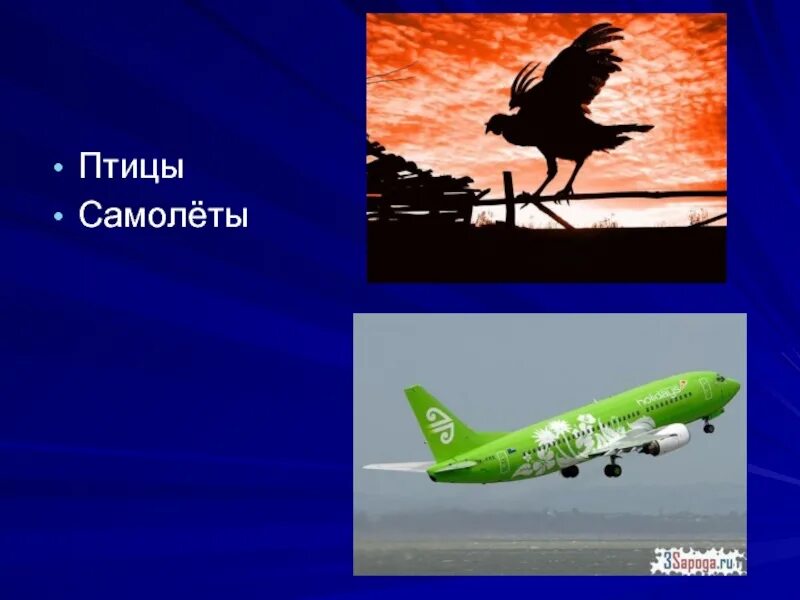 Что общего самолет и птица. Это птица это самолет. птичка самолет. самолет и птица бионика. тема презентации самолет и птицы.