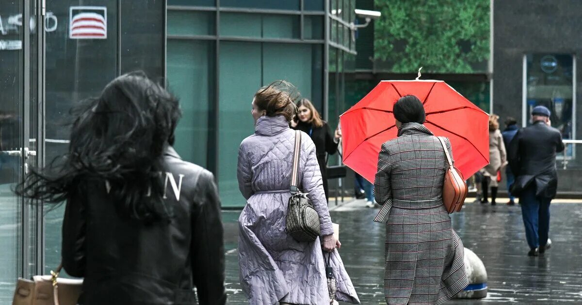 Средний ветер в москве. Средний ветер в москве. Сильный ветер. Сильный ветер лето. Средний ветер в москве.
