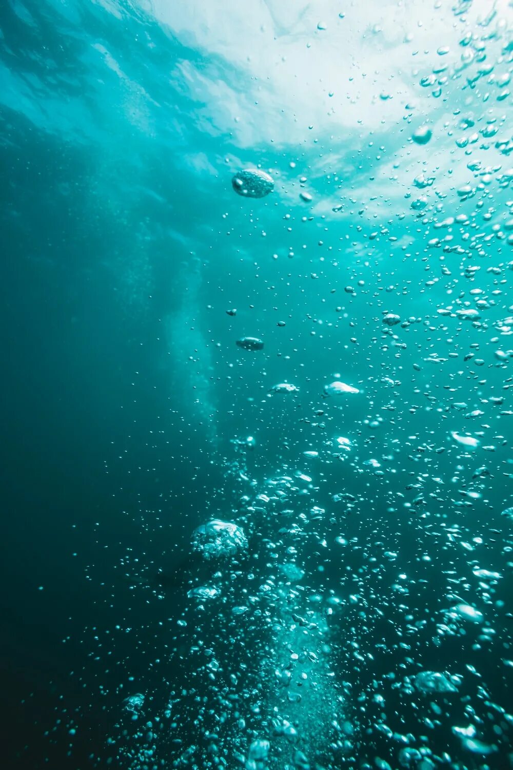 Ocean inside