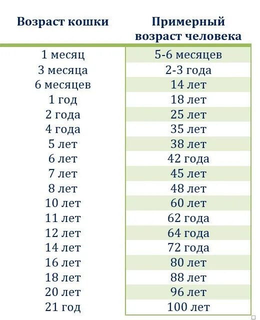 Как посчитать сколько лет коту по человеческим меркам. Возраст кота 4 года по человеческим меркам. Кошачий Возраст на человеческий таблица. Как считать года у котов по человеческим меркам таблица. 6 месяцев кошке сколько