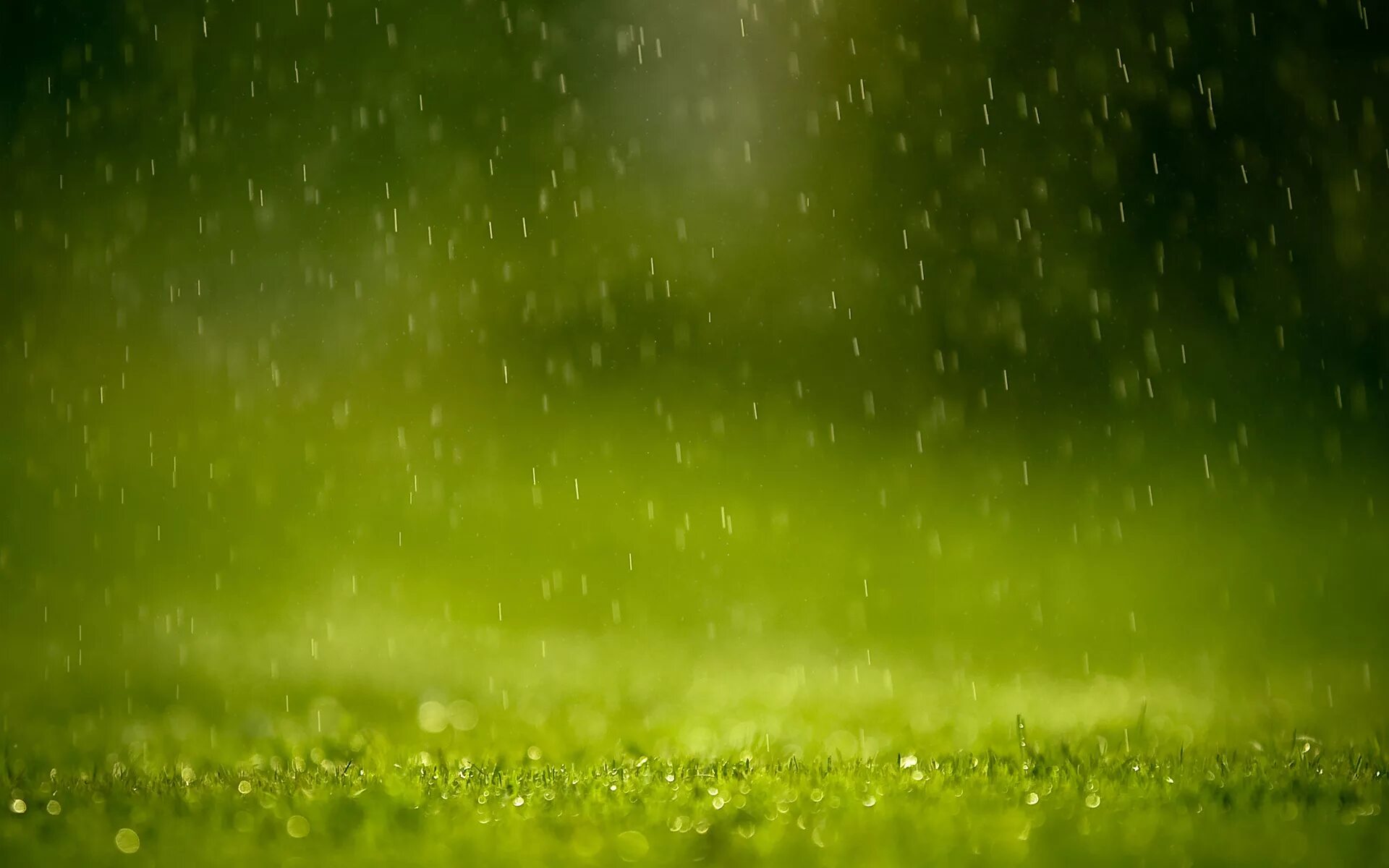 #green #rain #trees #water Water, Cool wallpaper, Wallpaper