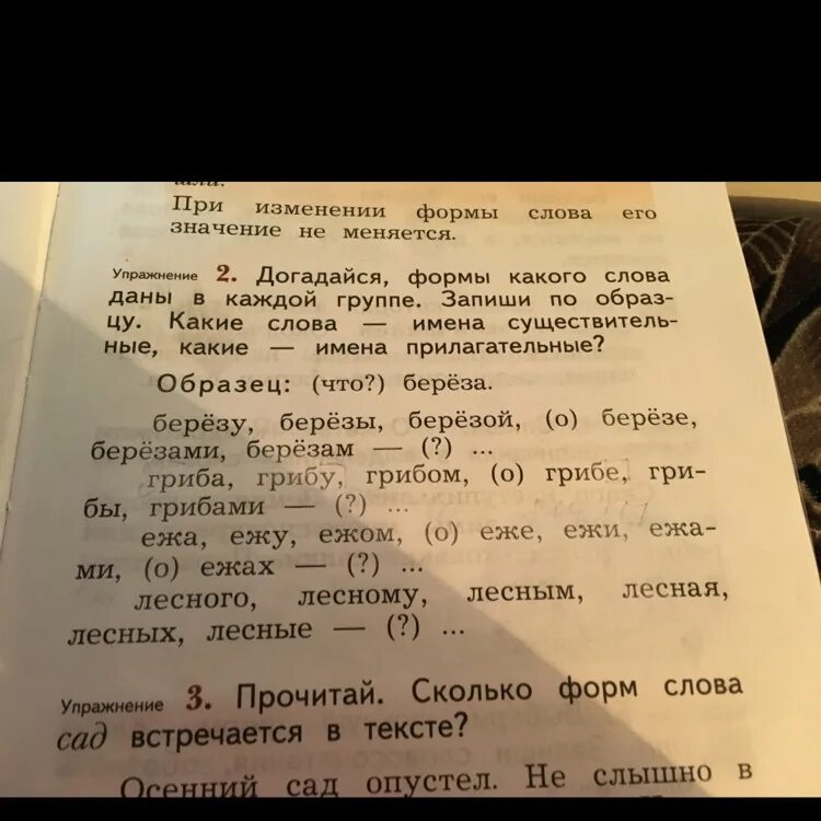 Другое значение слова сад. Сколько форм слова сад встречается. Сколько форм слова сад встречается в тексте. Форма слова к слову сад. Прочитай сколько форм слова сад встречается в тексте покажи.