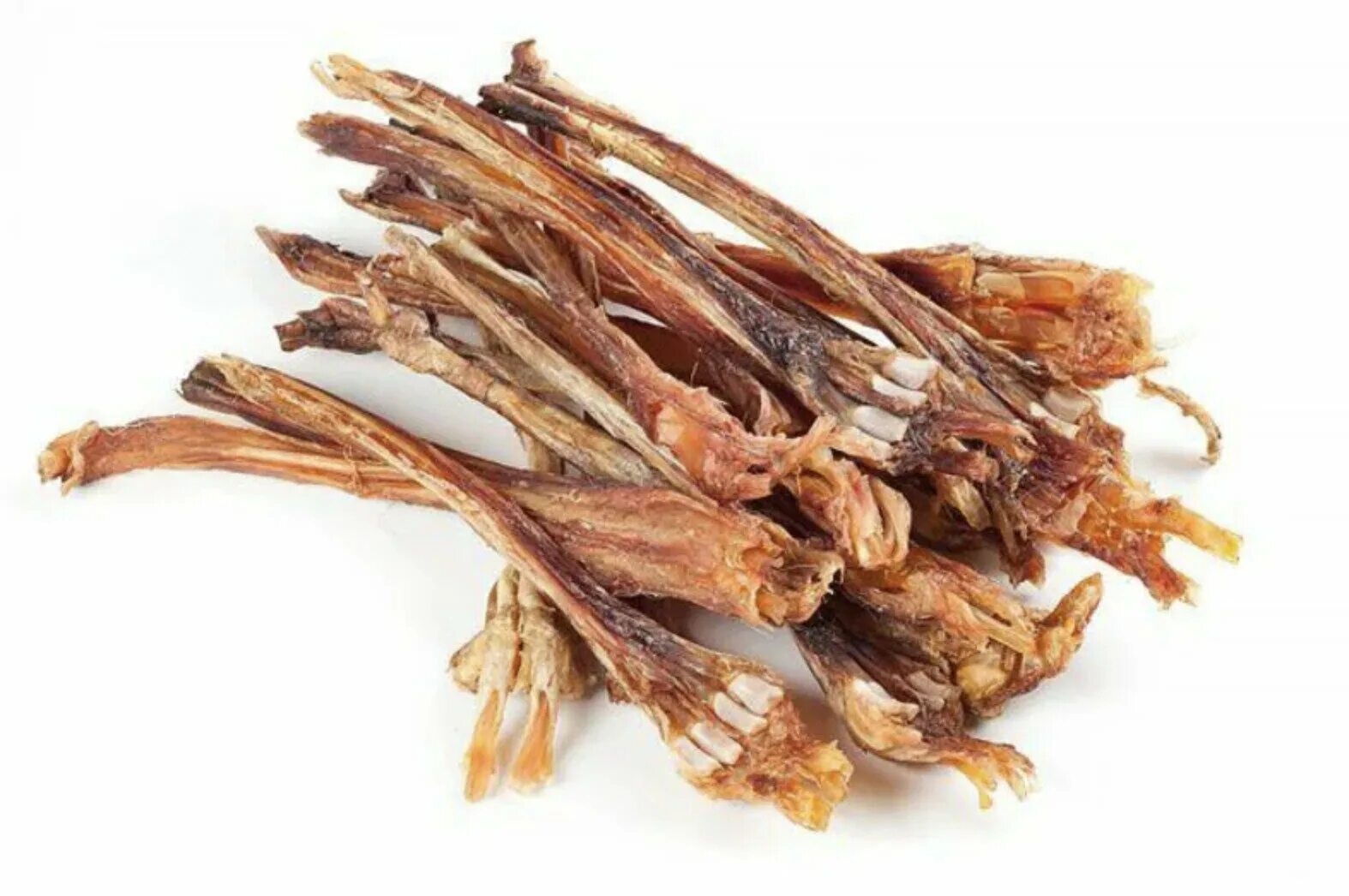 Жилы животных. Жилы животных. Необычные животные в природе. Чудеса природы животные. Шерстокрыл животное.