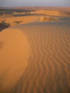 Каракум город