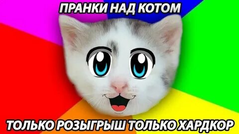 Включи ка жизнь