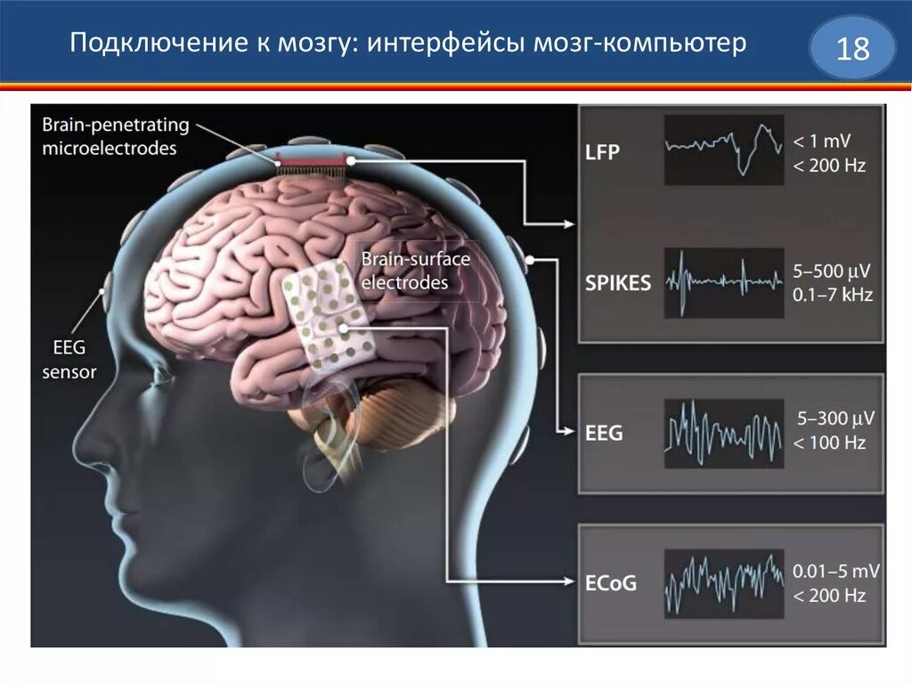 Мозг развивается. Загадки для мозга. Самосовершенствование и саморазвитие мозга. Мозговой программа. Мозговой компьютерный интерфейс.