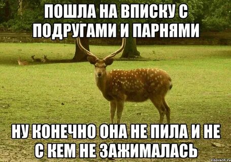 Это просто друг