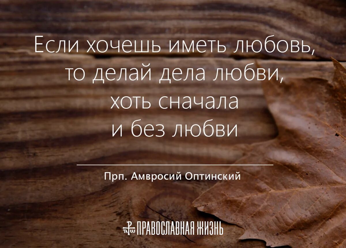 Дела любви в православии. Любовь к своему делу цитаты. Любовь в христианстве. Любовь к делу цитаты. Без любви к делу не станешь