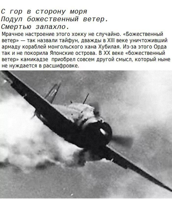 Как работает камикадзе. Японский самолет второй мировой камикадзе.
