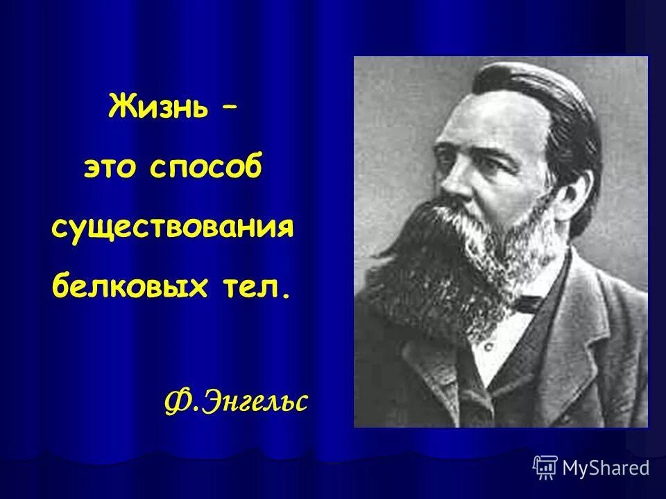 ф энгельс жизнь это. жизнь это способ существования белковых тел. жизнь есть способ существования. жизнь есть способ существования белковых. жизнь по энгельсу.